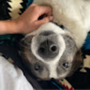 Meet your Posher, Kyle